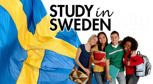 الدراسة فى السويد
