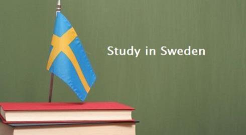 الدراسة فى السويد