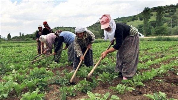 الاستثمار الزراعي في بلغاريا