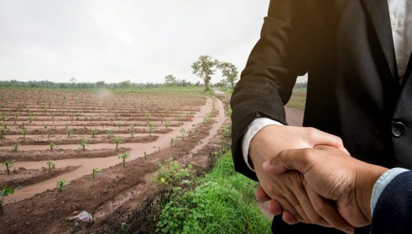 مميزات الإستثمار الزراعى فى بلغاريا
