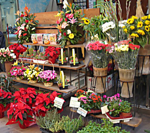 محلات بيع الورد الطبيعي فى هولندا