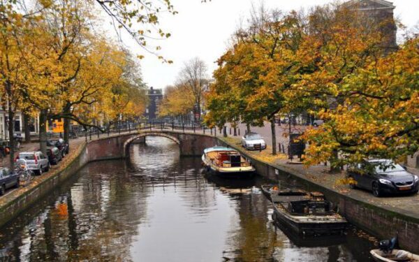 الطقس في أمستردام شهر نوفمبر