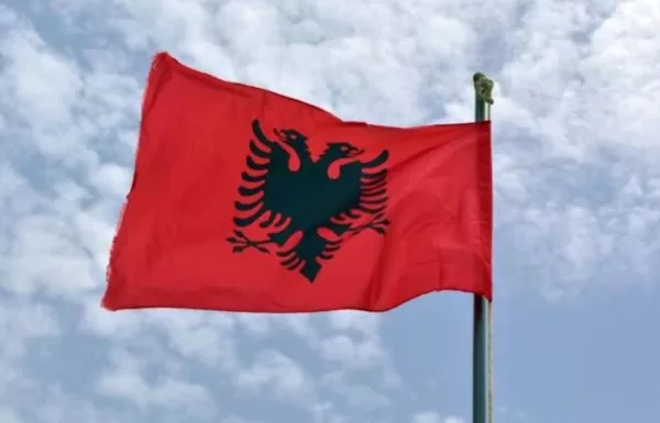 تكلفة تأسيس شركة في ألبانيا